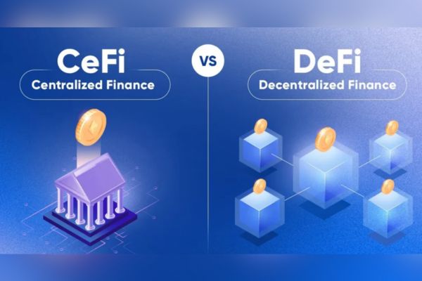 CeFi y DeFi tienen diferencias en tarifas y acceso.
