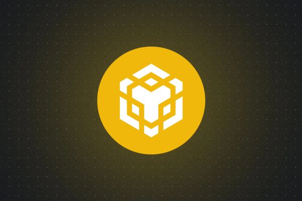 BNB Chain red descentralizada con validadores y gobernanza comunitaria