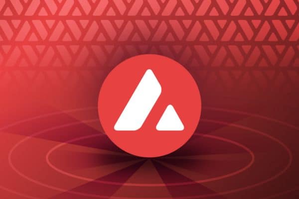 Avalanche funciona como una red de redes.