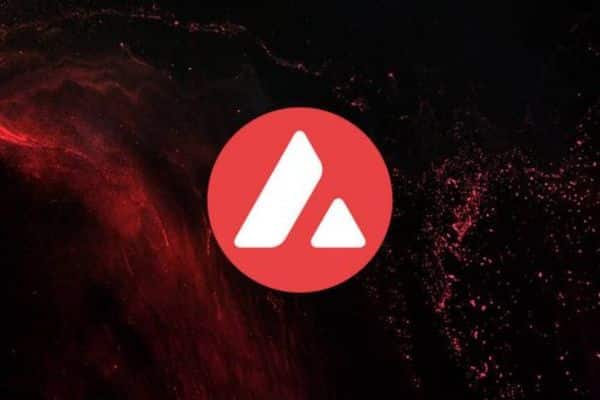 El avax tokenomics garantiza que el valor del activo se sostenga a largo plazo