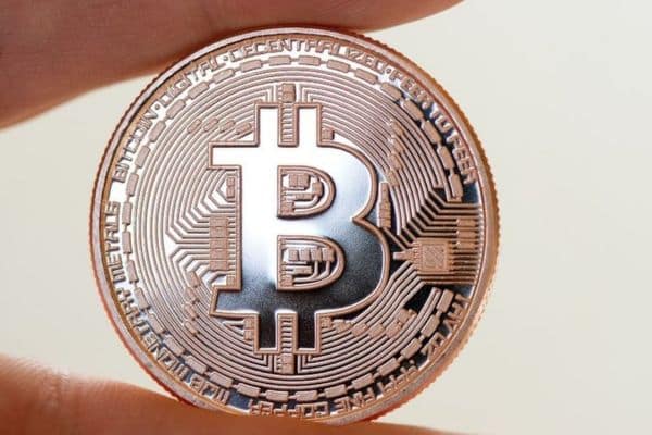 Gráfico que muestra la relación entre McRib y Bitcoin en diferentes años