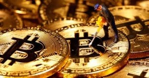 Correlación Bitcoin Nasdaq cambia el mercado cripto